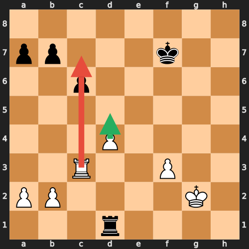 Rook Endgame Majority